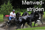 Menwedstrijdfoto's